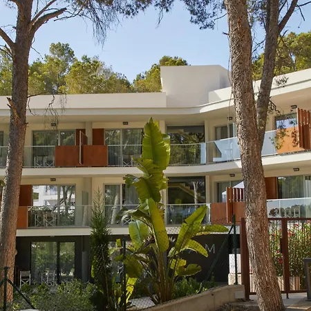 Dreams Calvia Mallorca (adults Only) Hotel 4*